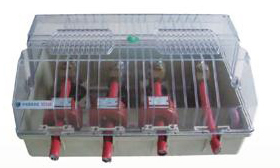 ����鿴��ͼ